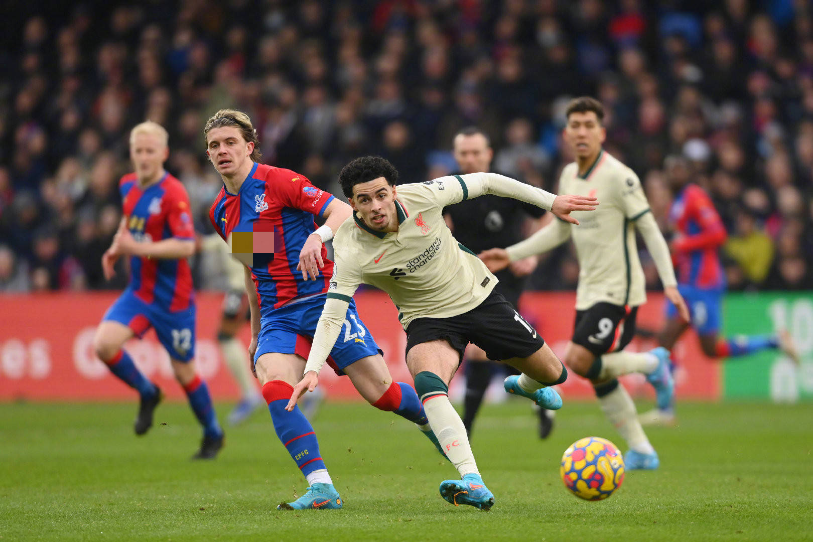 江苏女排二 江苏女排二