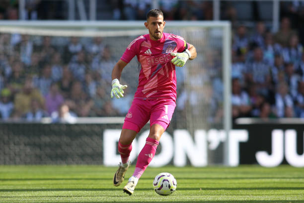 是他们亟需 是他们亟需